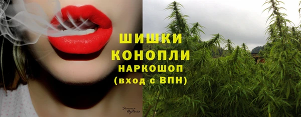 дживик Богородицк
