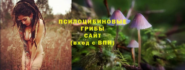 гашишное масло Богданович