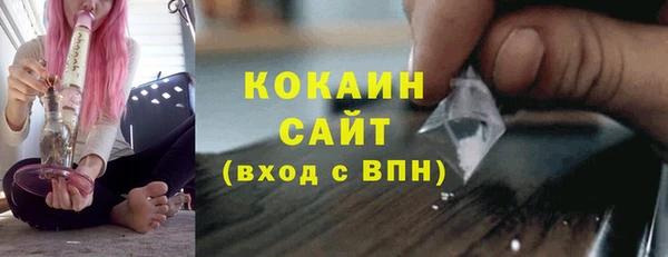 дживик Богородицк