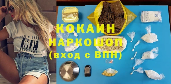 дживик Богородицк