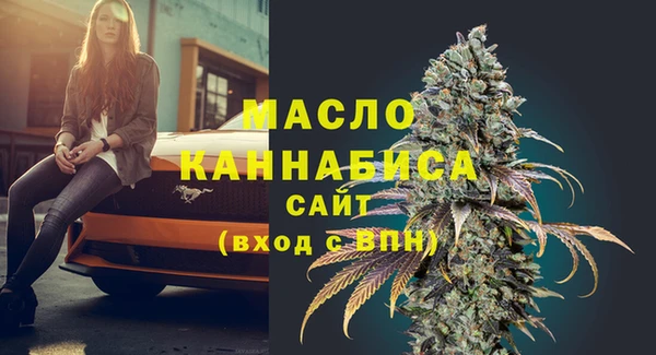 дживик Богородицк