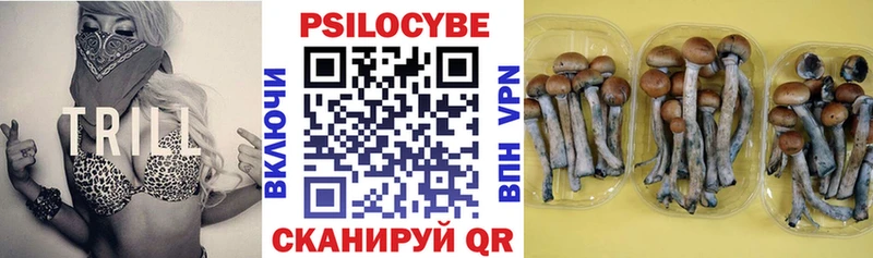 Галлюциногенные грибы Psilocybine cubensis Урюпинск
